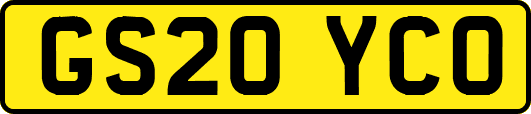 GS20YCO