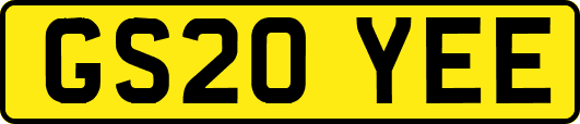 GS20YEE