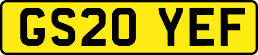 GS20YEF