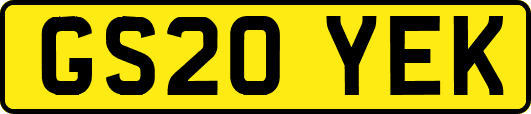 GS20YEK