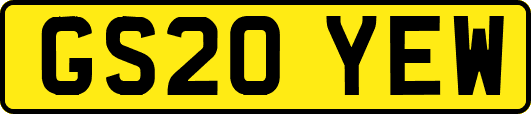 GS20YEW