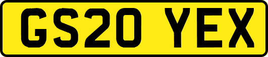 GS20YEX
