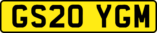 GS20YGM