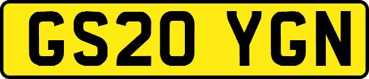 GS20YGN