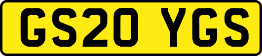 GS20YGS