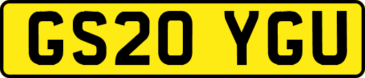 GS20YGU