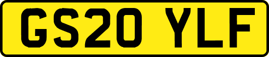 GS20YLF