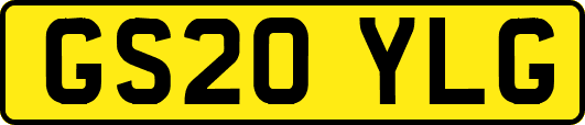 GS20YLG