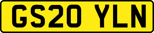 GS20YLN
