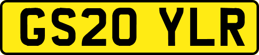 GS20YLR
