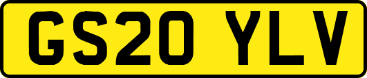 GS20YLV