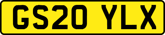 GS20YLX