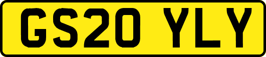 GS20YLY