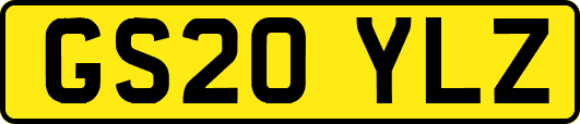 GS20YLZ