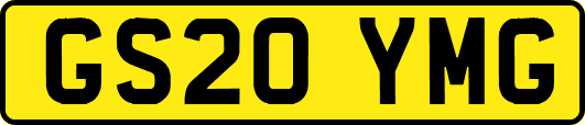 GS20YMG