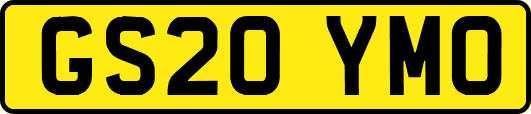 GS20YMO