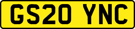 GS20YNC
