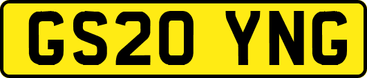 GS20YNG