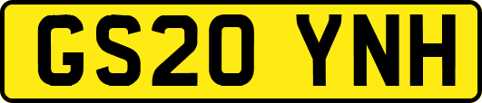 GS20YNH