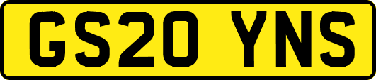 GS20YNS