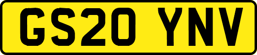 GS20YNV