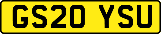 GS20YSU