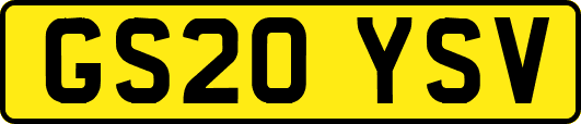 GS20YSV