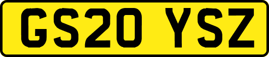 GS20YSZ