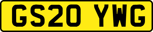 GS20YWG