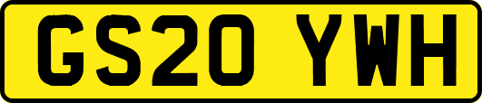 GS20YWH
