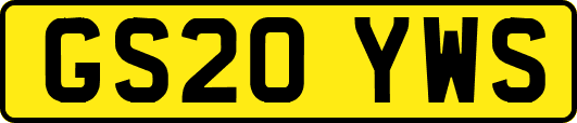 GS20YWS