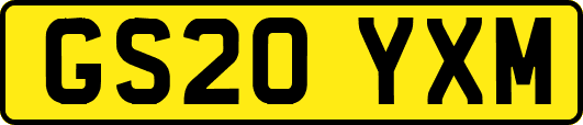 GS20YXM