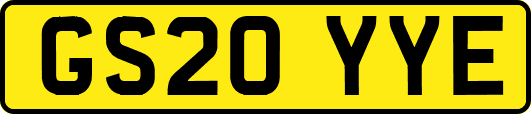 GS20YYE