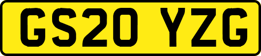 GS20YZG