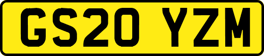 GS20YZM