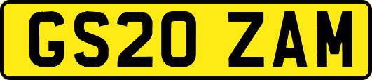 GS20ZAM