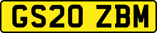 GS20ZBM