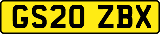 GS20ZBX