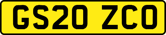 GS20ZCO