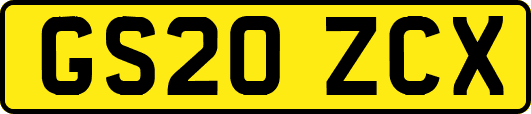 GS20ZCX