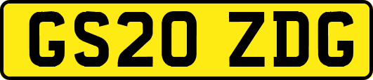 GS20ZDG