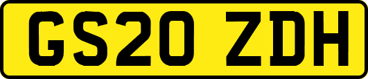 GS20ZDH