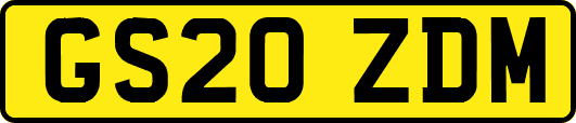 GS20ZDM