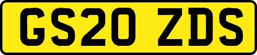 GS20ZDS