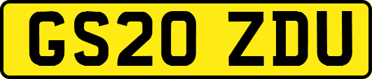 GS20ZDU