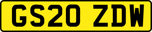 GS20ZDW