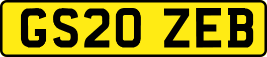 GS20ZEB