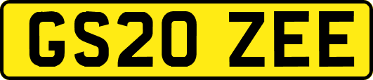 GS20ZEE