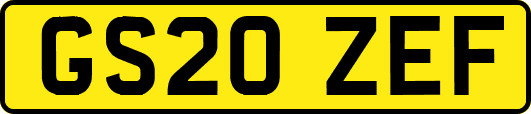 GS20ZEF