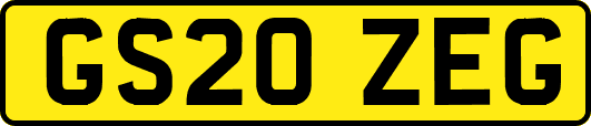 GS20ZEG
